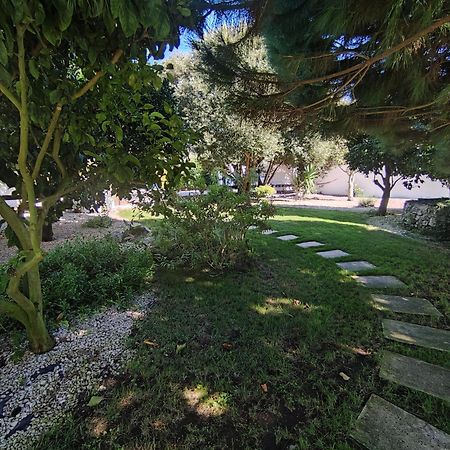 Bed and Breakfast Quinta Camargue Cela Velha Екстер'єр фото