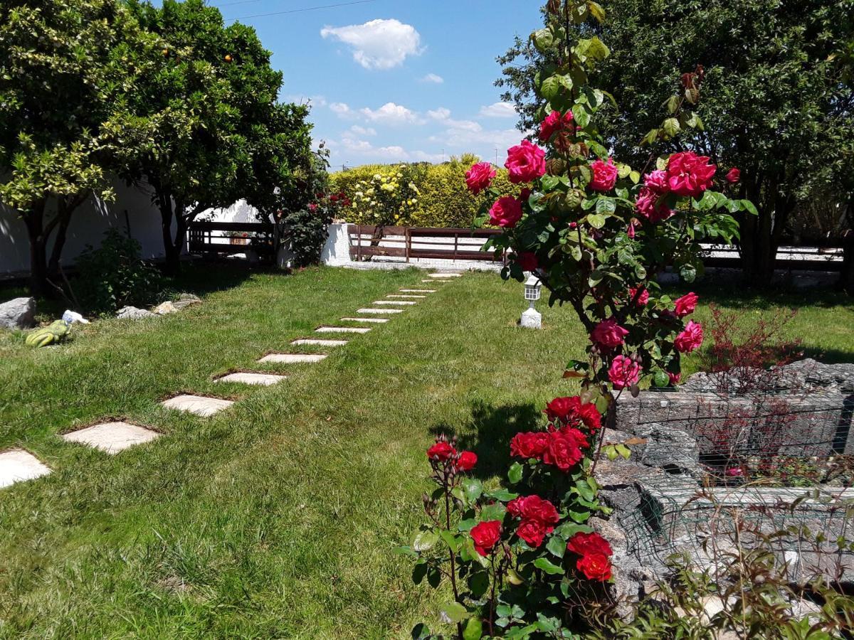 Bed and Breakfast Quinta Camargue Cela Velha Екстер'єр фото