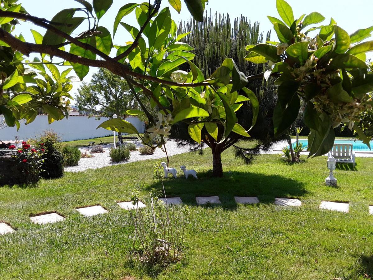Bed and Breakfast Quinta Camargue Cela Velha Екстер'єр фото