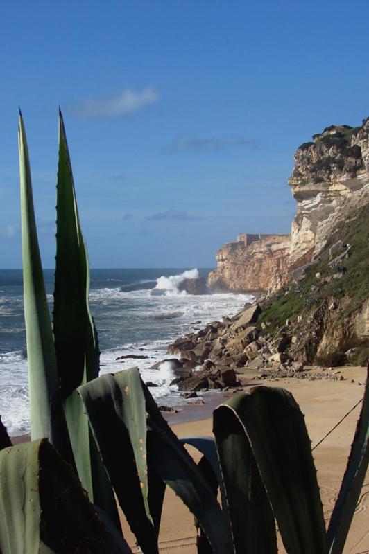 Bed and Breakfast Quinta Camargue Cela Velha Екстер'єр фото
